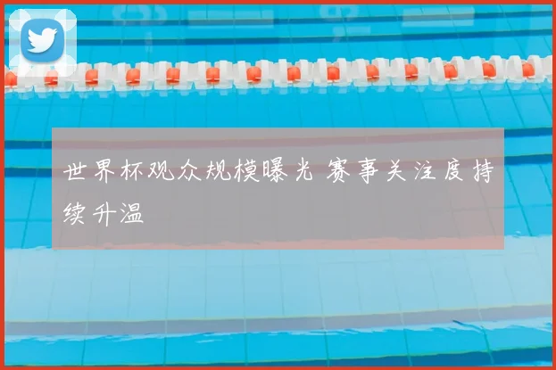 世界杯观众规模曝光 赛事关注度持续升温