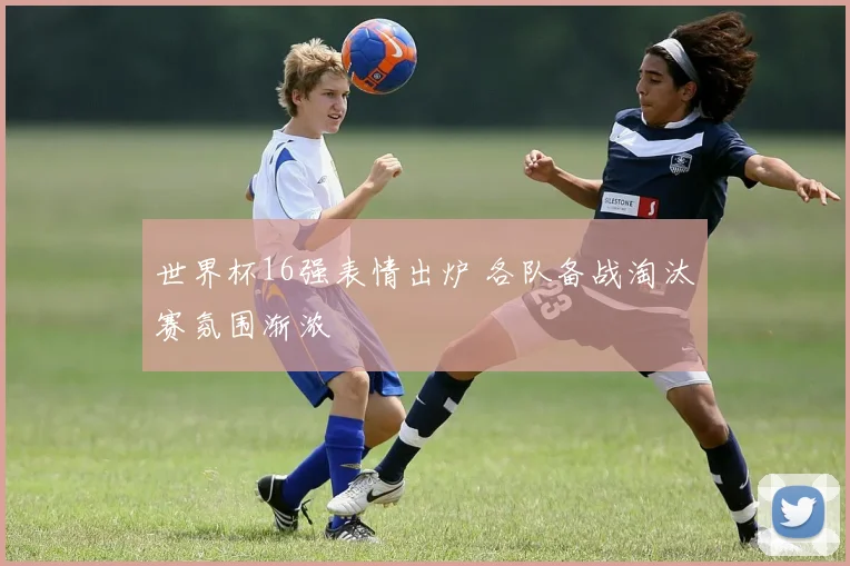 世界杯16强表情出炉 各队备战淘汰赛氛围渐浓