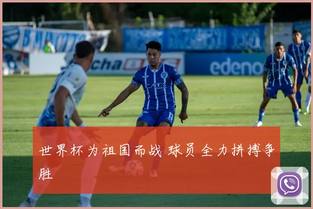 世界杯为祖国而战 球员全力拼搏争胜