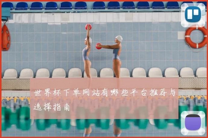 世界杯下单网站有哪些平台推荐与选择指南